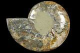 Wide Polished Fossil Ammonite Dish - Inlaid Ammonite #133253-2